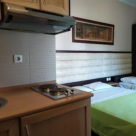 Villa Alexandra 公寓式酒店 *